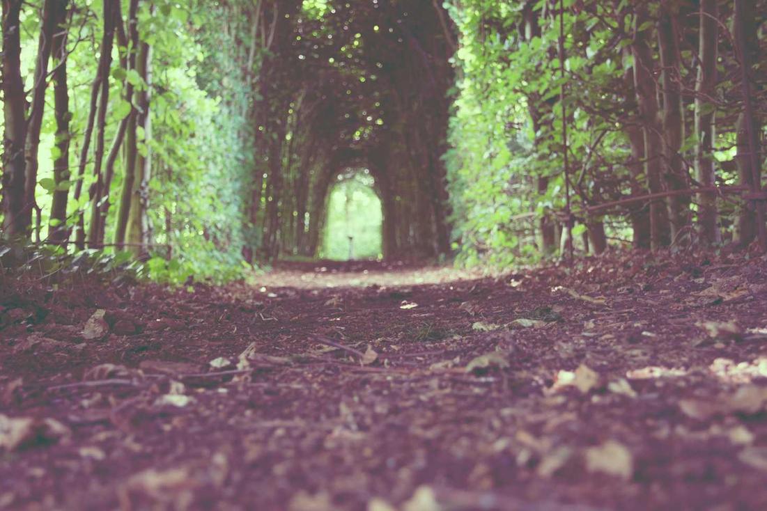 Sed id neque sit sit modi qui possimus sint unde quaerat laborum